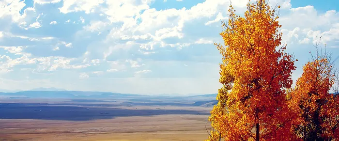 淘宝海报背景高清