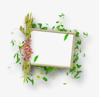 植物边框图案素材免抠