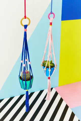 植物吊兰海报背景