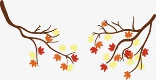 秋天的树干免抠