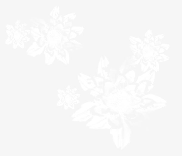 冰花免抠