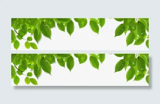 手绘自然春季绿叶树枝免抠