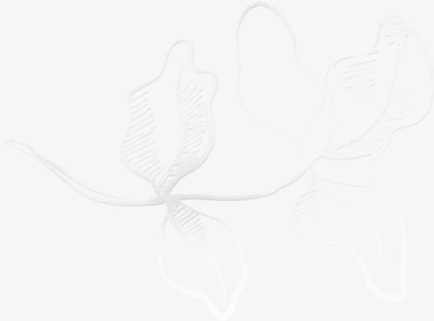 银色花纹免抠