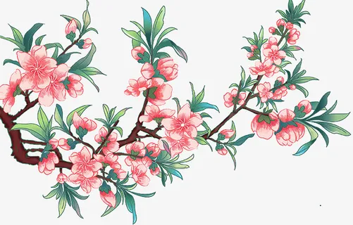 手绘国潮插画桃花免抠