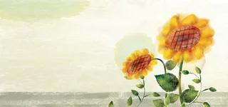 淘宝  花背景  浪漫   海报 banner背景高清