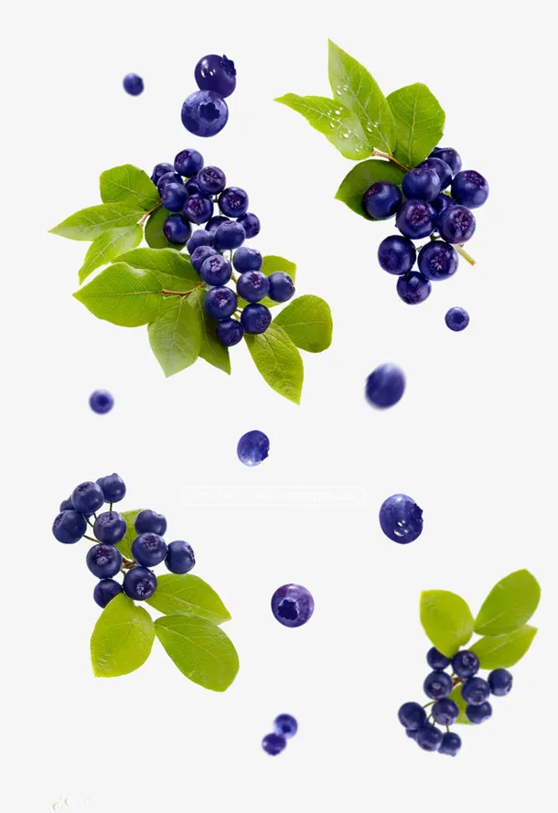 蓝莓水果漂浮物免抠