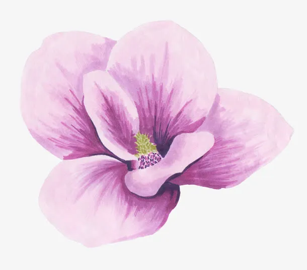 紫色花朵免抠