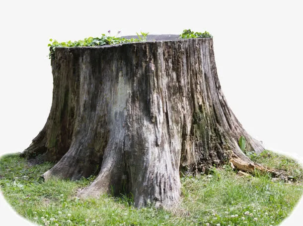 木桩免抠