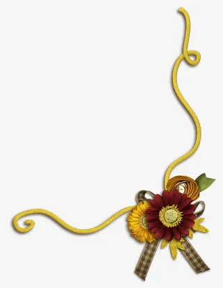 黄色花边素材免抠