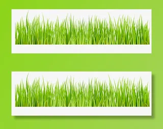 春天  绿色草丛  元素免抠动植物植物元素