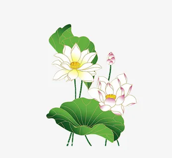 文艺清新花草花环海报设计装饰免抠