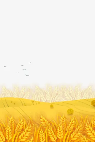 手绘秋天小麦田免抠