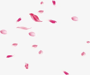 植物花瓣漂浮玫瑰花效果免抠