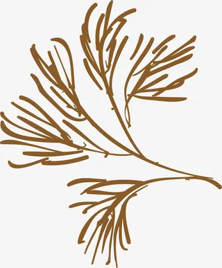 茴香火锅食物香料免抠