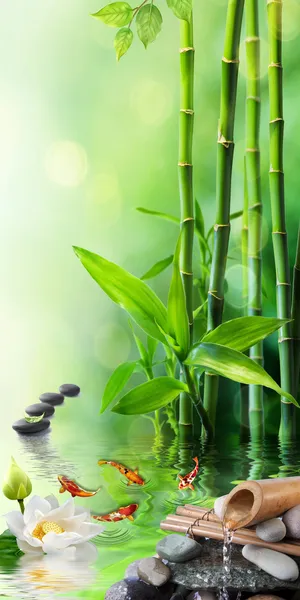 竹子清新背景素材高清