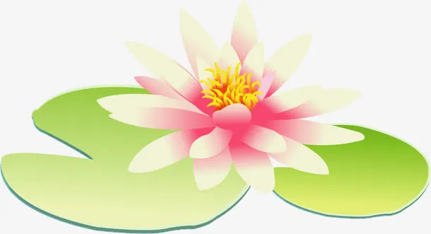 手绘荷花宣传海报免抠