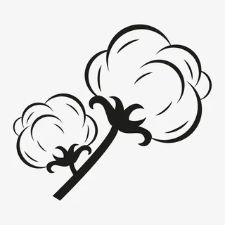 棉花花朵简笔画免抠