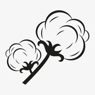 棉花花朵简笔画免抠