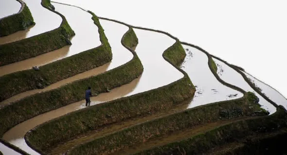 广西龙脊梯田风景免抠