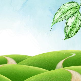 春天绿色背景高清