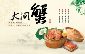 阳澄湖大闸蟹海报背景素材高清