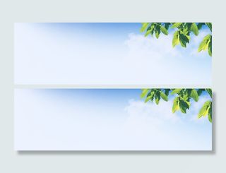 清新蓝天绿叶背景高清