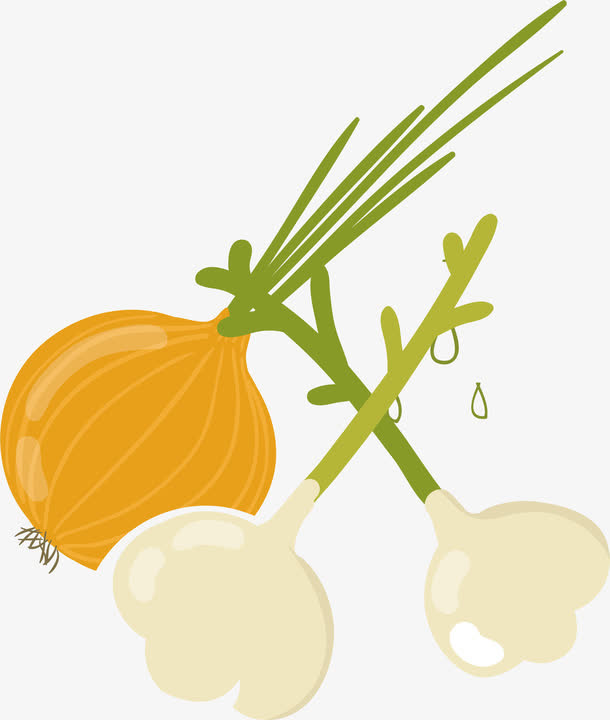 蔬菜分类免抠