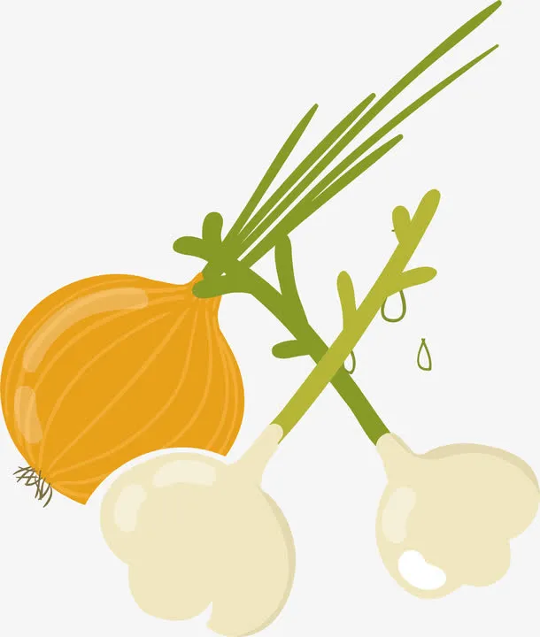蔬菜分类免抠