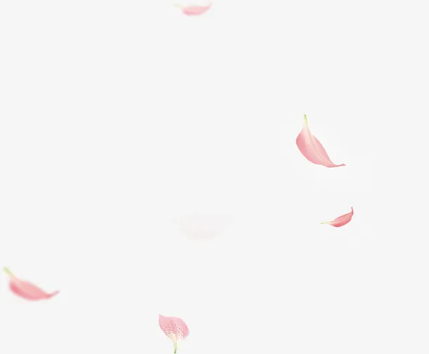 粉色 花瓣  漂浮元素免抠