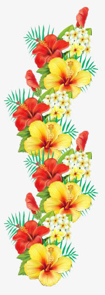 鲜花免抠