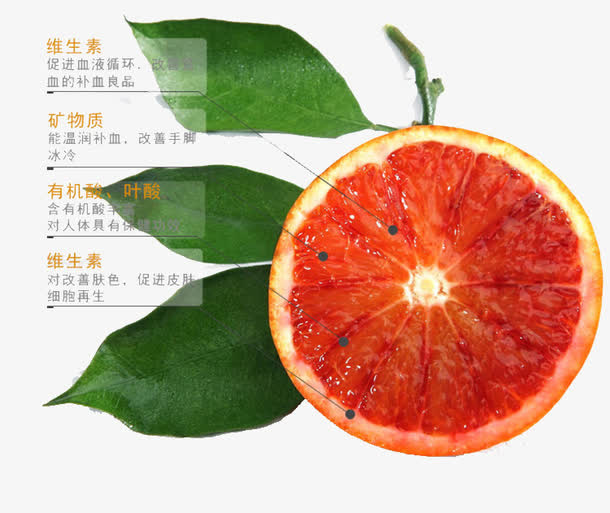 血橙详情页免抠