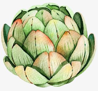 手绘水墨半开荷花免抠