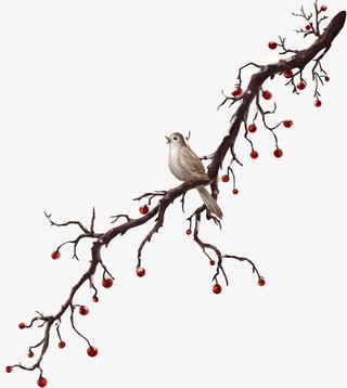 枯枝的树枝果子免抠