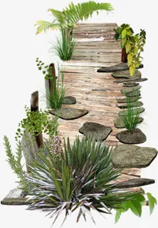 木板路绿色草植物免抠 木板路绿色草植物免抠