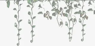 藤叶中国风海报素材免抠