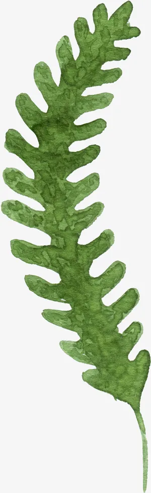 绿色水彩叶子免抠