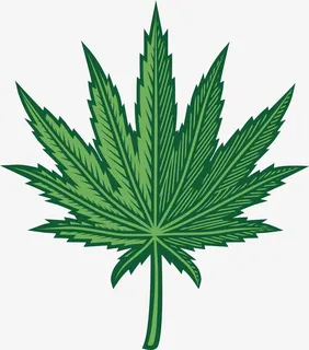 大麻叶手绘免抠