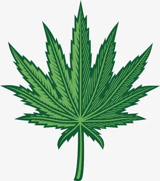 大麻叶手绘免抠
