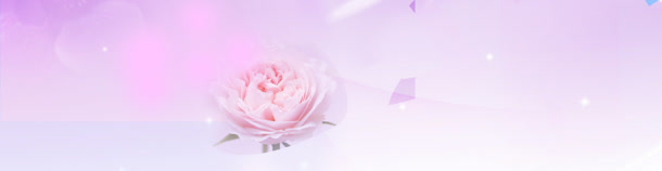 美容背景banner