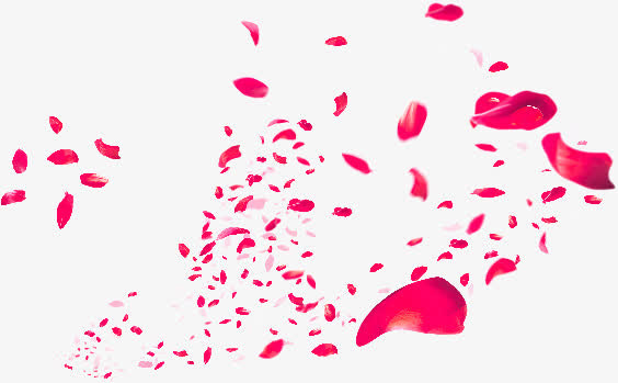 漂浮双十一场景唯美花瓣免抠