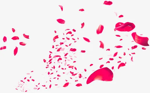 漂浮双十一场景唯美花瓣免抠 漂浮双十一场景唯美花瓣免抠