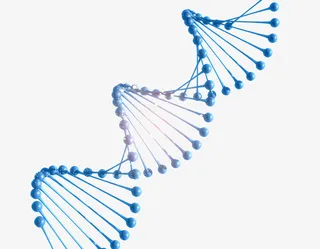 细胞，细，细菌免抠