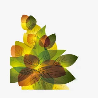 梦幻秋天落叶免抠