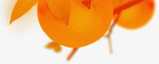 黄色高清水果装饰免抠