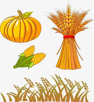 南瓜小麦玉米图片免抠