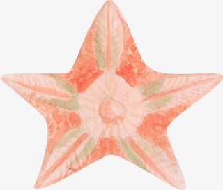 海星,星,素材,png免抠