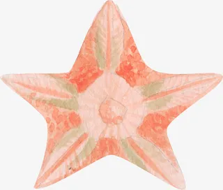 海星,星,素材,png免抠