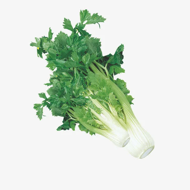生鲜芹菜免抠