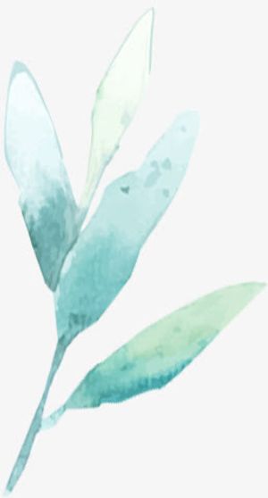 春天绿色水彩植物装饰免抠