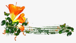 抽象鲜花图片素材创意花卉图片免抠